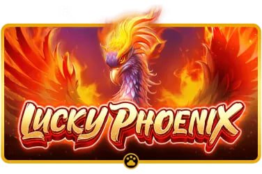 Live dealer casino table on nustar ph platform for Filipino players
